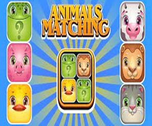 Animals Matching